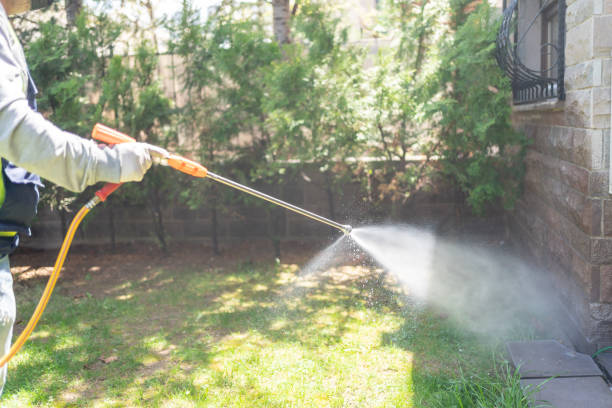 Best Organic or Eco-Friendly Pest Control  in Redland, MD